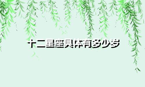 十二星座具体有多少岁