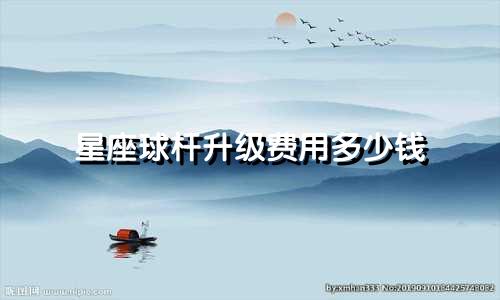 星座球杆升级费用多少钱