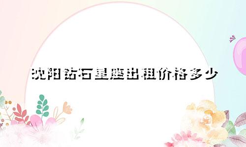 沈阳钻石星座出租价格多少
