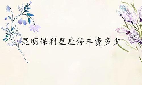 昆明保利星座停车费多少