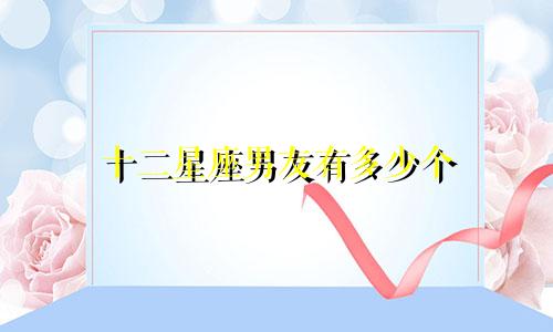 十二星座男友有多少个