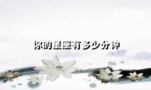 你的星座有多少分钟