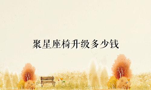 聚星座椅升级多少钱