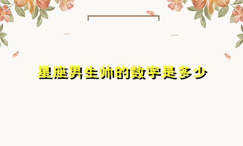 星座男生帅的数字是多少