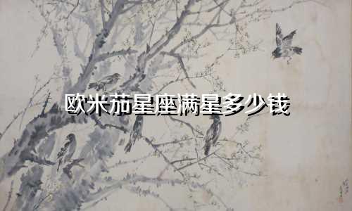 欧米茄星座满星多少钱