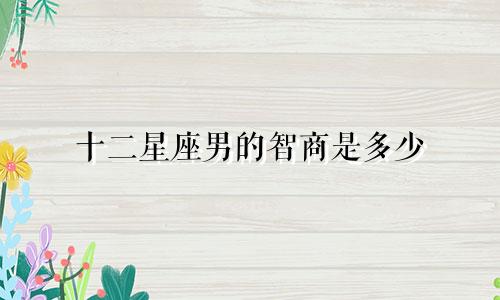 十二星座男的智商是多少