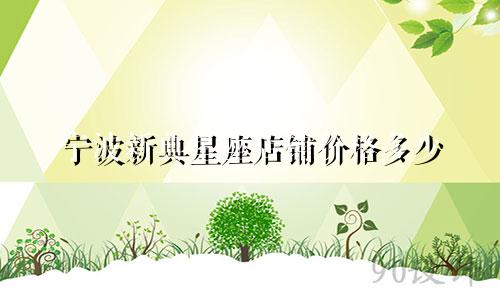 宁波新典星座店铺价格多少
