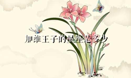 加维王子的星座是多少