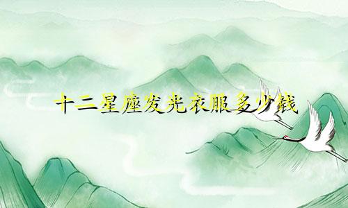 十二星座发光衣服多少钱