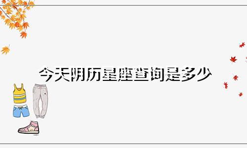 今天阴历星座查询是多少
