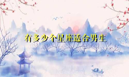 有多少个星座适合男生