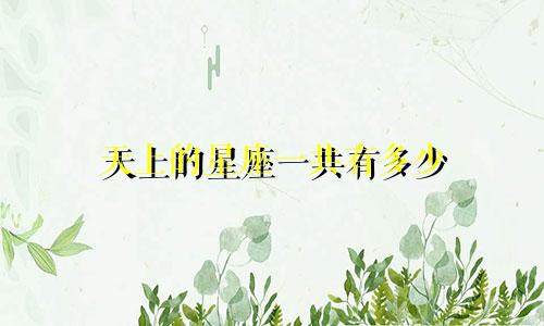 天上的星座一共有多少