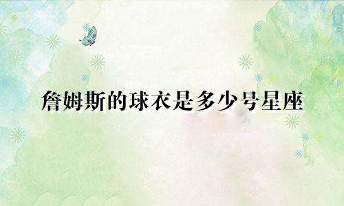 詹姆斯的球衣是多少号星座