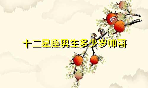 十二星座男生多少岁帅哥