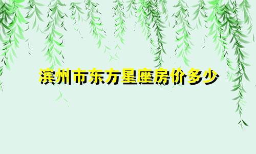 滨州市东方星座房价多少