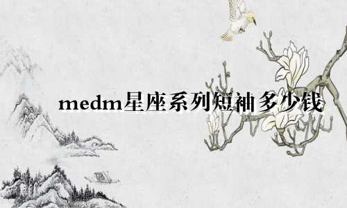 medm星座系列短袖多少钱