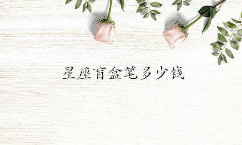 星座盲盒笔多少钱