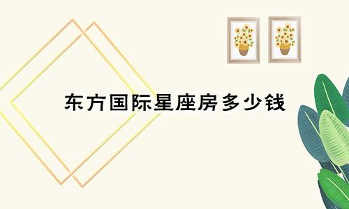 东方国际星座房多少钱