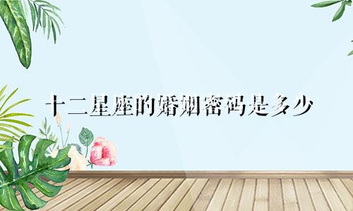 十二星座的婚姻密码是多少