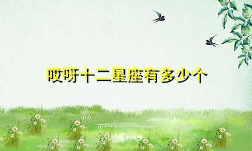 哎呀十二星座有多少个