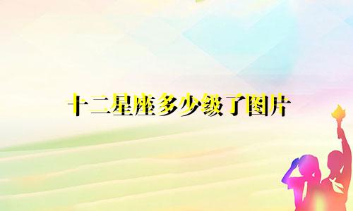 十二星座多少级了图片
