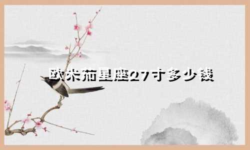欧米茄星座27寸多少钱