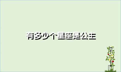 有多少个星座是公主