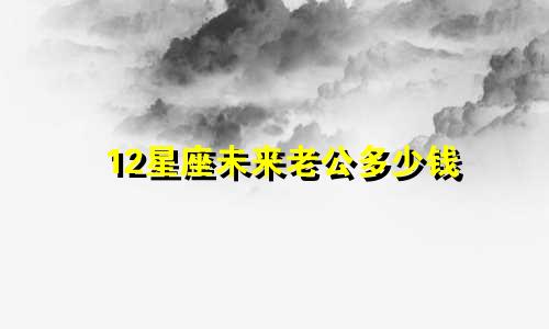 12星座未来老公多少钱