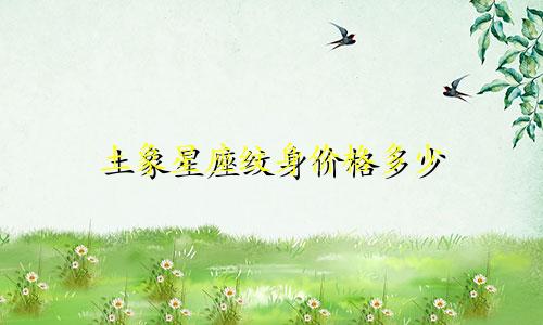 土象星座纹身价格多少