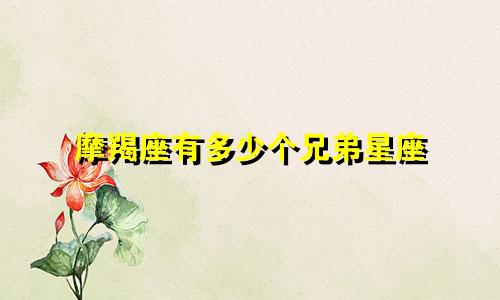 摩羯座有多少个兄弟星座