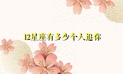 12星座有多少个人追你