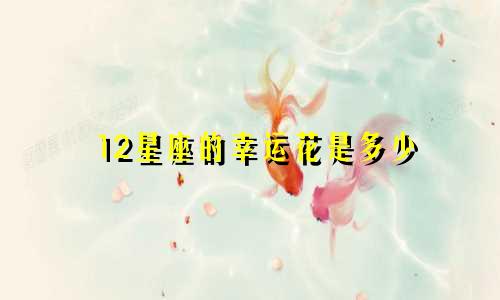 12星座的幸运花是多少