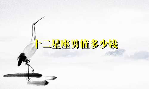 十二星座男值多少钱