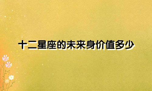 十二星座的未来身价值多少