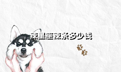 辣星座辣条多少钱