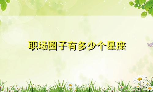 职场圈子有多少个星座