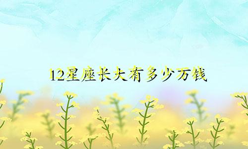 12星座长大有多少万钱