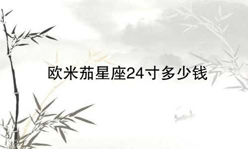 欧米茄星座24寸多少钱