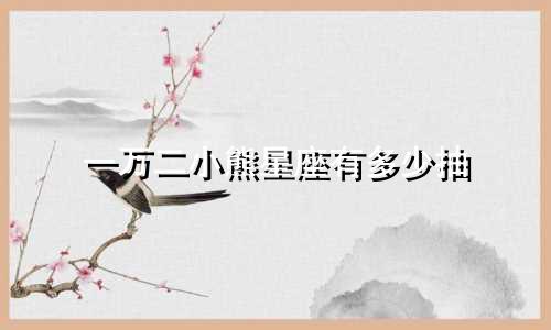 一万二小熊星座有多少抽