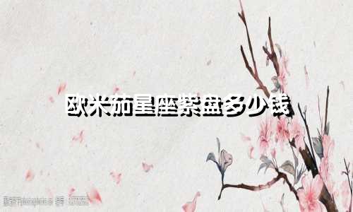 欧米茄星座紫盘多少钱