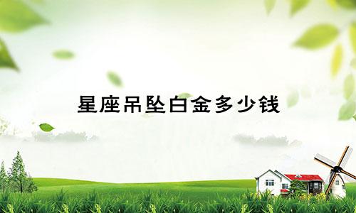 星座吊坠白金多少钱