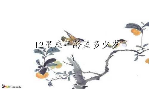 12星座年龄差多少岁