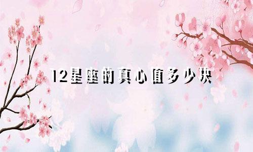 12星座的真心值多少块