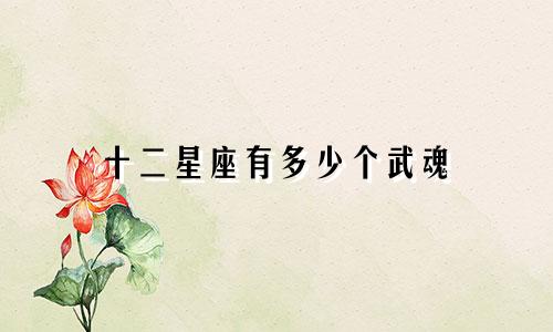 十二星座有多少个武魂