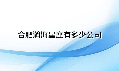 合肥瀚海星座有多少公司