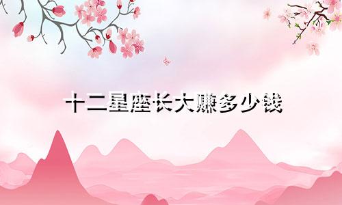 十二星座长大赚多少钱