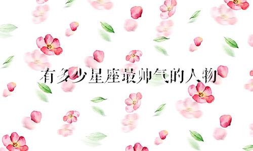 有多少星座最帅气的人物
