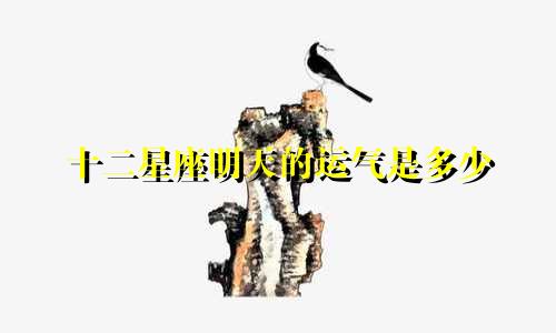 十二星座明天的运气是多少
