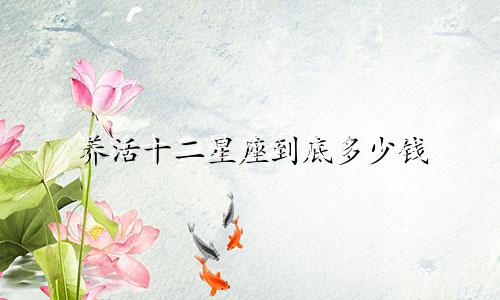 养活十二星座到底多少钱