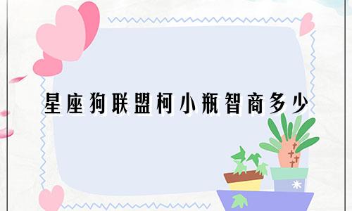 星座狗联盟柯小瓶智商多少